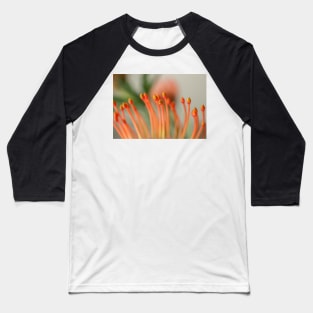 Pincushion Flower Baseball T-Shirt